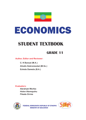 economics essay grade 11